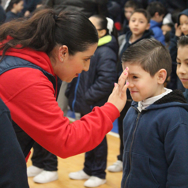 Primaria IMBC-5